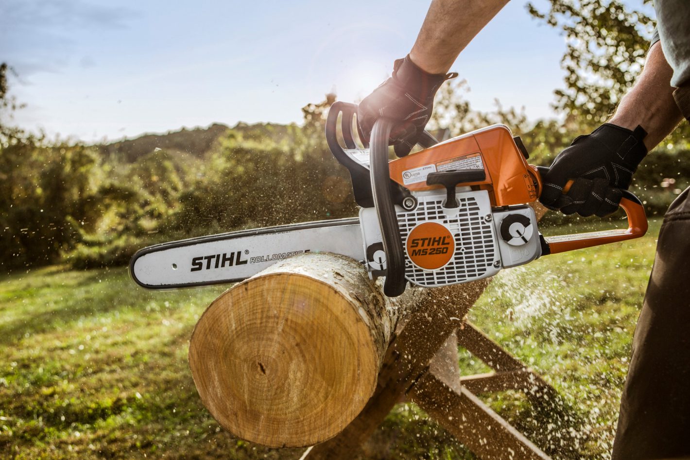 STIHL MS 250